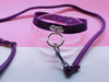 Playset  Collar & Leash ( 3 Colours Available )