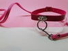 Playset  Collar & Leash ( 3 Colours Available )